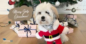 A Holly Jolie Christmas Adventure