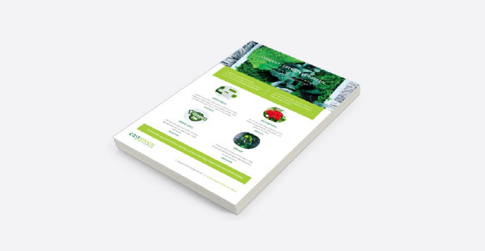 EasyGreen3