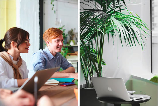 Marketing Business Consultants