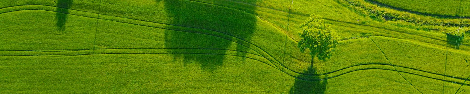 Sustainability